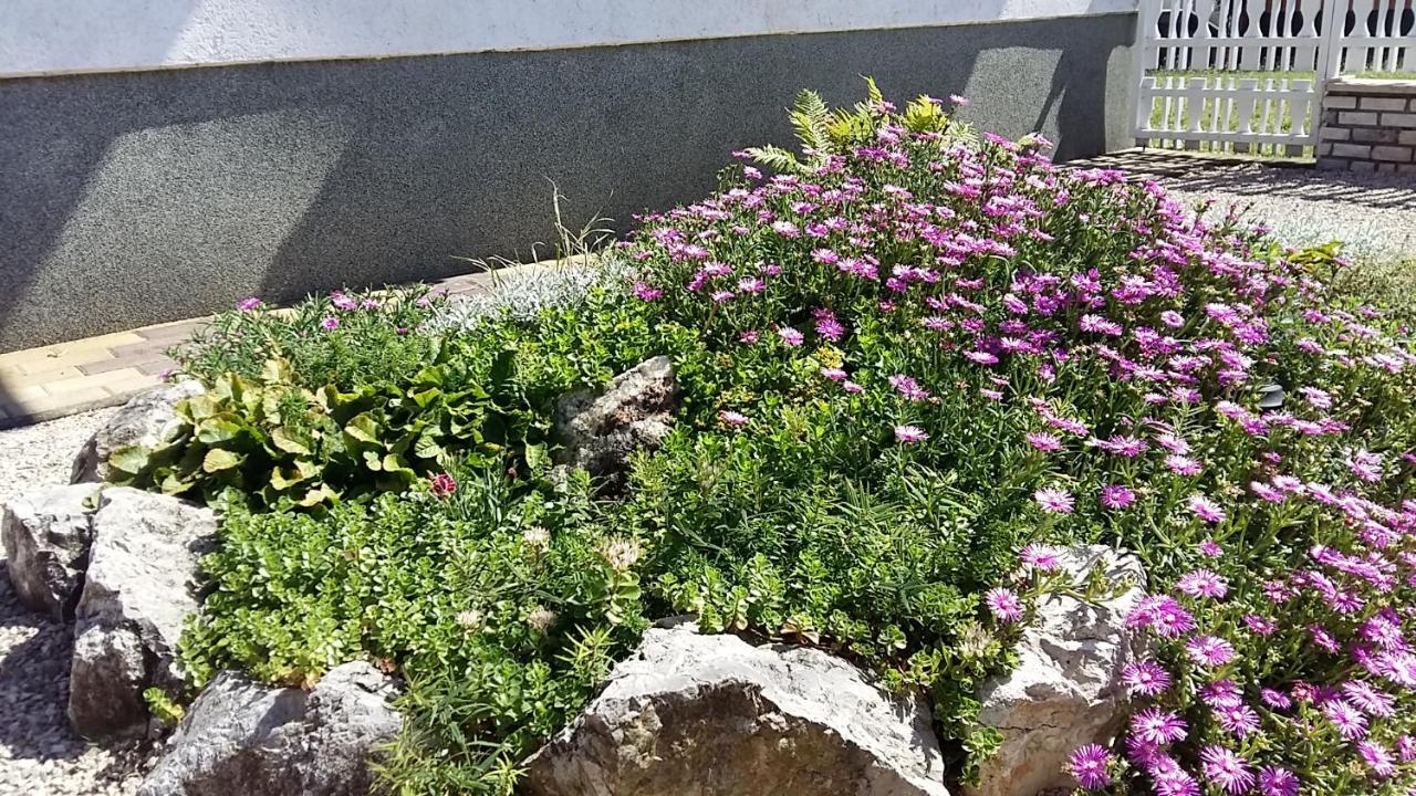 Harkány Alfa Apartman מראה חיצוני תמונה